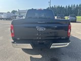 Used 2021 Ford F150 XLT w/ Equipment Group 302A High image 6