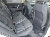 New 2025 Land Rover Discovery Sport S image 6