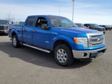 Used 2014 Ford F150 XLT w/ Equipment Group 302A Luxury image 4
