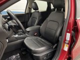 Used 2020 Ford Escape Titanium image 4