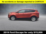 Used 2019 Ford Escape SE image 2