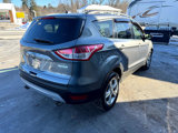 Used 2014 Ford Escape SE w/ Equipment Group 201A image 6