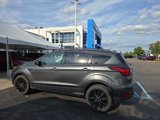 Used 2019 Ford Escape Titanium image 5