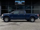 Used 2011 Ford F150 XLT w/ XLT Chrome Pkg image 2