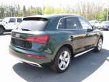 Used 2019 Audi Q5 2.0T Premium Plus w/ Premium Plus Package image 4