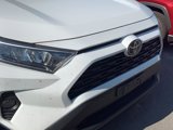 Used 2020 Toyota RAV4 XLE image 4