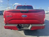 Used 2017 Ford F150 XLT w/ Equipment Group 302A Luxury image 4