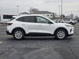 New 2025 Ford Escape Active w/ Cold Weather Package image 3