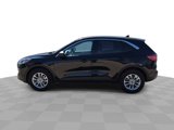Certified 2022 Ford Escape SE w/ Convenience Package image 5