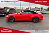 Used 2019 Ford Mustang Premium image 5