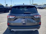 Used 2020 Ford Escape SEL image 4