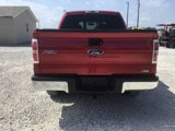 Used 2010 Ford F150 XLT image 4
