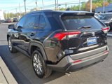 Used 2020 Toyota RAV4 XLE Premium image 5