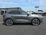 New 2024 Ford Escape ST-Line Select w/ Tech Pack #2 image 4
