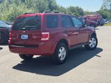 Used 2011 Ford Escape XLT image 5