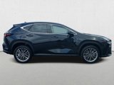New 2025 Lexus NX 350 AWD w/ Accessory Package (2T) image 4