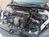 Used 2013 Honda Accord EX-L image 4