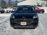 Used 2022 Ford Escape SE w/ Convenience Package image 2