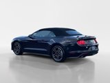 Certified 2023 Ford Mustang Premium image 4