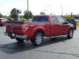 Used 2014 Ford F150 XLT w/ Equipment Group 302A Luxury image 3