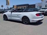 Used 2022 Ford Mustang Premium image 3
