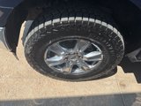 Used 2019 Ford F150 XLT w/ Equipment Group 301A Mid image 6