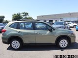 Used 2021 Subaru Forester image 5