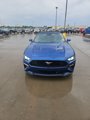 Used 2023 Ford Mustang Premium image 3