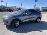 Used 2022 Ford Escape SE w/ Cold Weather Package image 4