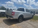 Used 2019 Ford F150 XLT w/ Equipment Group 302A Luxury image 5