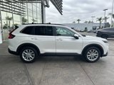 Used 2024 Honda CR-V EX-L image 3