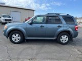 Used 2012 Ford Escape XLT image 2