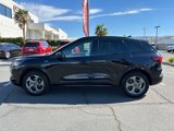 Used 2024 Ford Escape ST-Line image 6