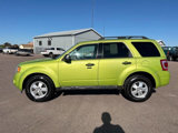 Used 2011 Ford Escape XLT w/ 203A Rapid Spec Order Code image 2
