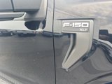 Used 2021 Ford F150 XLT w/ Equipment Group 302A High image 5