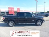 Used 2013 Ford F150 XLT w/ Luxury Equipment Group image 3