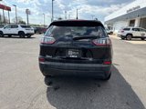 Used 2023 Jeep Cherokee Altitude Lux image 6