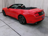 Used 2020 Ford Mustang Premium image 4