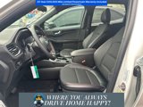 New 2025 Ford Escape ST-Line w/ Equipment Group 301A image 5