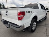 Used 2014 Ford F150 XLT w/ XLT Chrome Package image 5