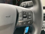 New 2025 Ford Maverick XL image 6