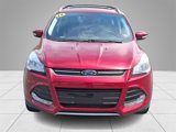 Used 2016 Ford Escape Titanium image 2