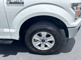 Used 2020 Ford F150 XL w/ Equipment Group 101A Mid image 2
