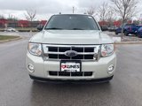 Used 2009 Ford Escape XLT image 2