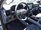 New 2024 Ford F150 XLT w/ Equipment Group 302A MID image 5