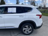 Used 2023 Hyundai Santa Fe SEL w/ Premium Package image 4