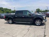 Used 2015 Ford F150 XLT w/ Equipment Group 302A Luxury image 2