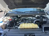 Certified 2020 Ford F150 XLT w/ Equipment Group 301A Mid image 4