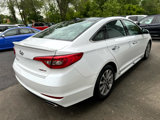 Used 2016 Hyundai Sonata Limited w/ Option Group 05 image 4