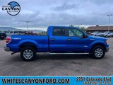 Used 2013 Ford F150 XLT w/ Luxury Equipment Group image 2